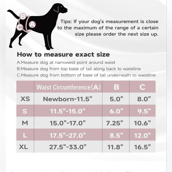 NWT Paw Legend Washable Reusable Female Dog Diapers  (3 Pack,medium) - Picture 5 of 6